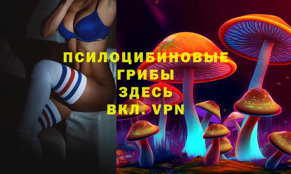 mdpv Балахна