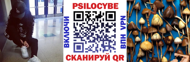 цены   Реж  кракен зеркало  Галлюциногенные грибы GOLDEN TEACHER 