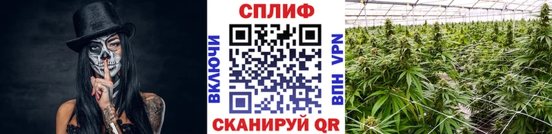 хочу наркоту  Реж  Марихуана MAZAR 